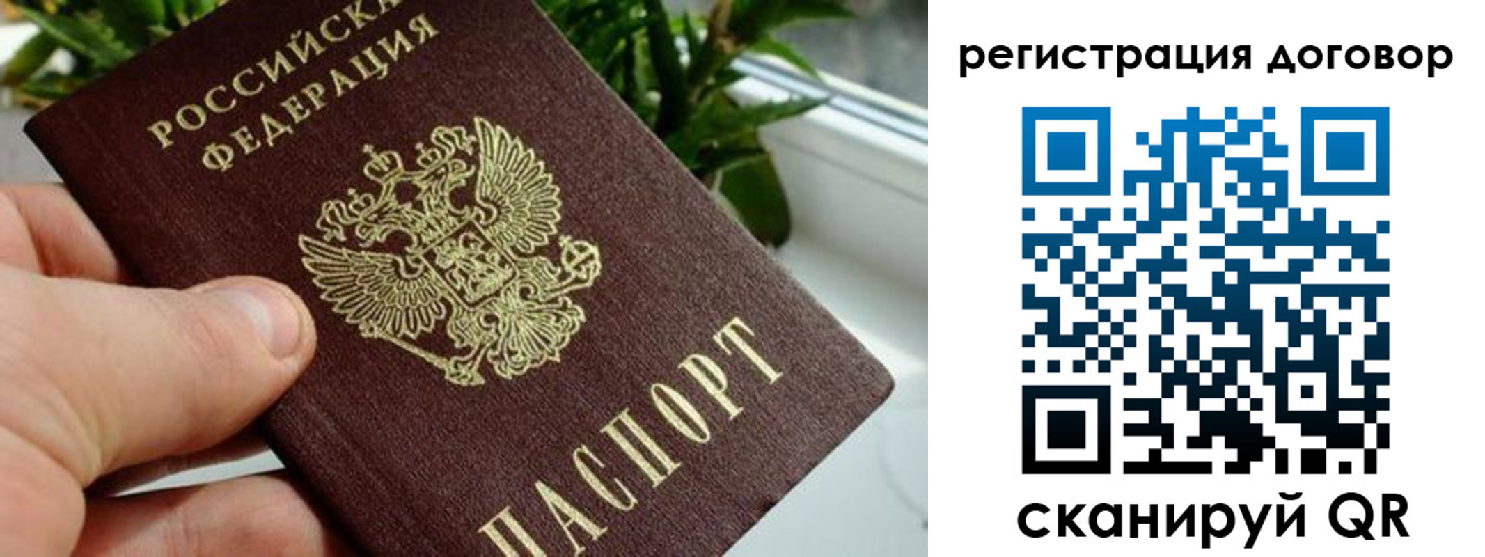 прописка ребенка в Кировске